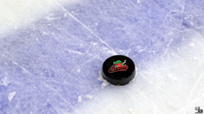 Crocodiles Hamburg Puck - Foto: HB-Fotografie, H. Beck Crocodiles Hamburg Puck - Foto: HB-Fotografie, H. Beck